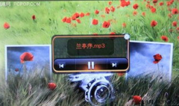 三p视频,内容、影响与反思