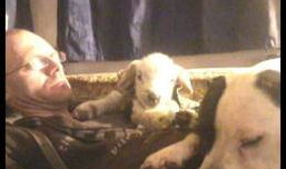 男女交性视频,性爱视频背后的故事