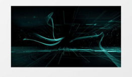 高清视频素材,探索视频素材背后的精彩故事