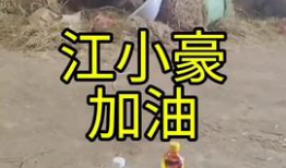 牛牛热在线视频,揭秘热门视频背后的魅力与影响力