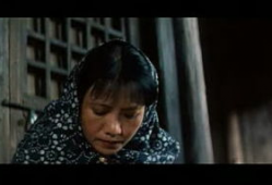 色妇视频,揭秘女性魅力与情感世界